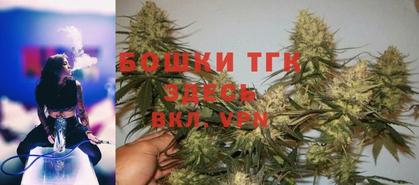 индика Остров