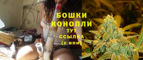 индика Остров